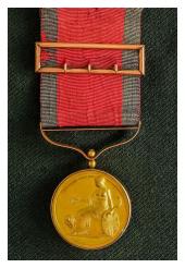 Army Gold Medal Talavera gordon