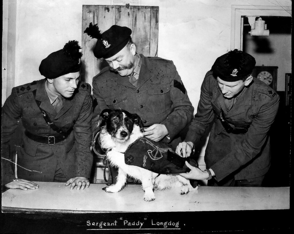 Sergeant 'Paddy' Longdog