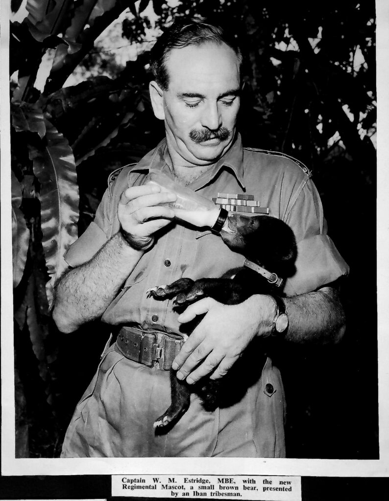 Stickie the bear cub